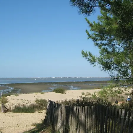 Le Heron Cendre 3* La Tremblade