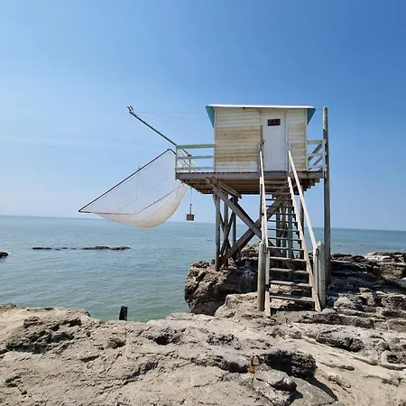 Le Heron Cendré La Tremblade
